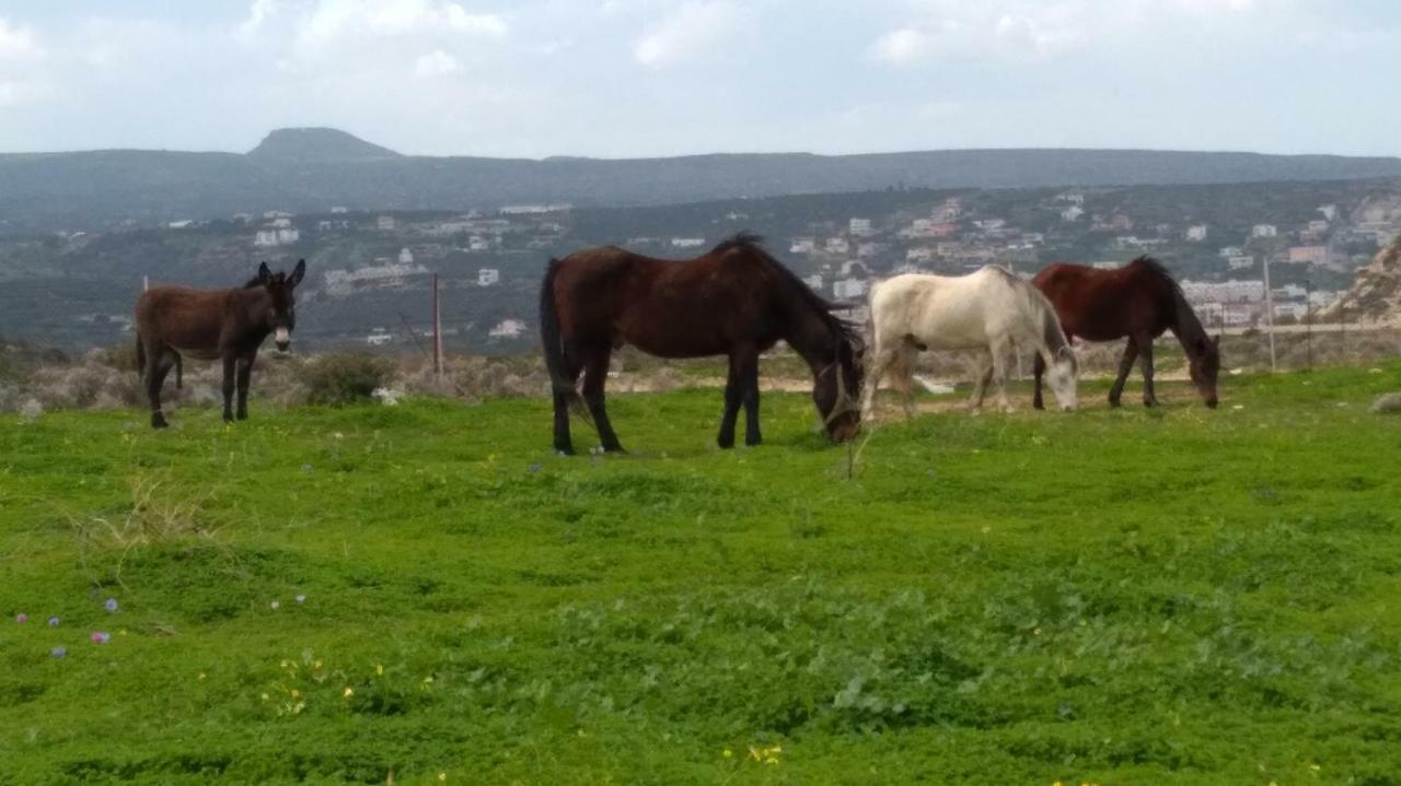 New Country House Salvia Sitia  Bagian luar foto
